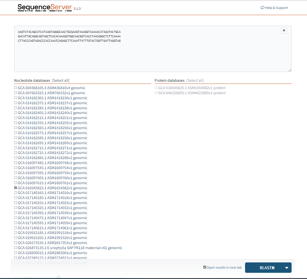 A screenshot of the selection for BLASTN.