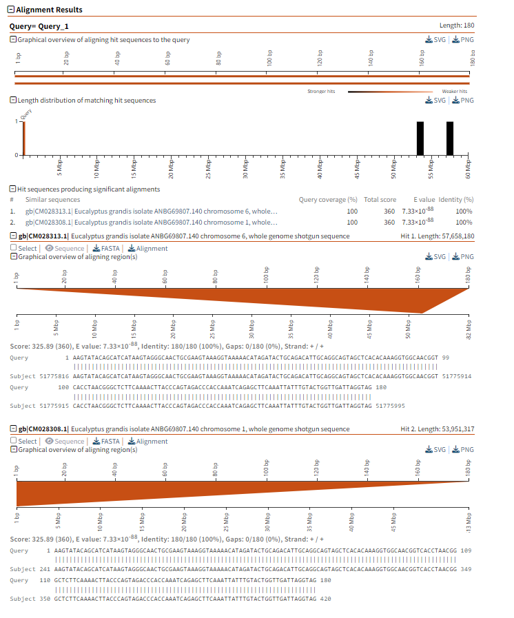 BLASTN detailed results.