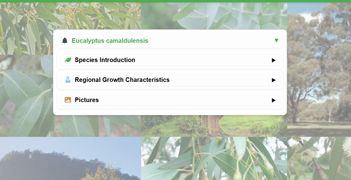 Screenshot of province-specific detail jump for Eucalyptus site China