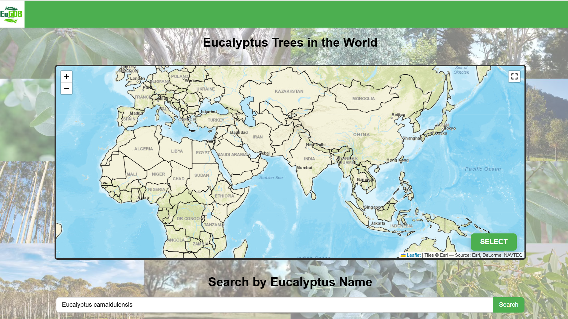 Screenshot of retrieval mode operation for Eucalyptus Cultivation Tracker