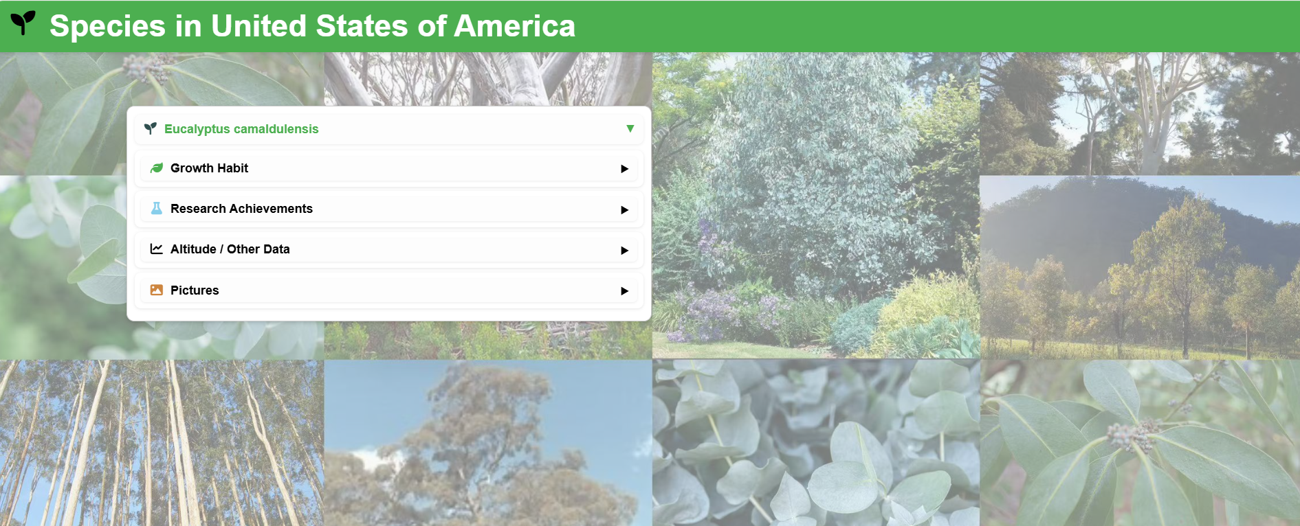 Screenshot of country-specific detail jump for Eucalyptus Cultivation Tracker