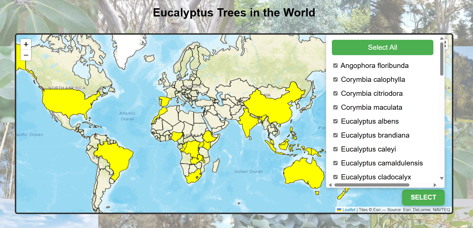 Screenshot of full-selection retrieval operation for Eucalyptus Cultivation Tracker