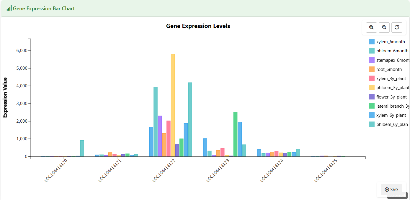 Screenshot of Eucalyptus Gene expression bar chart