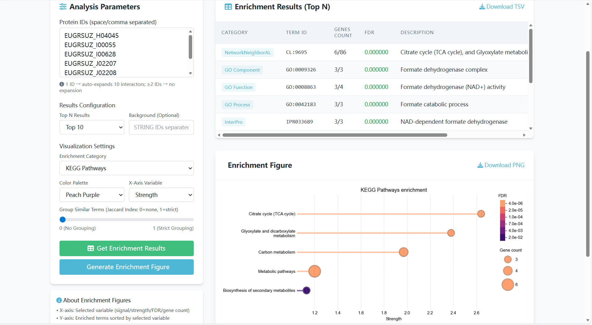 Screenshot of GO/KEGG enrichment analysis results (table + visualization)
