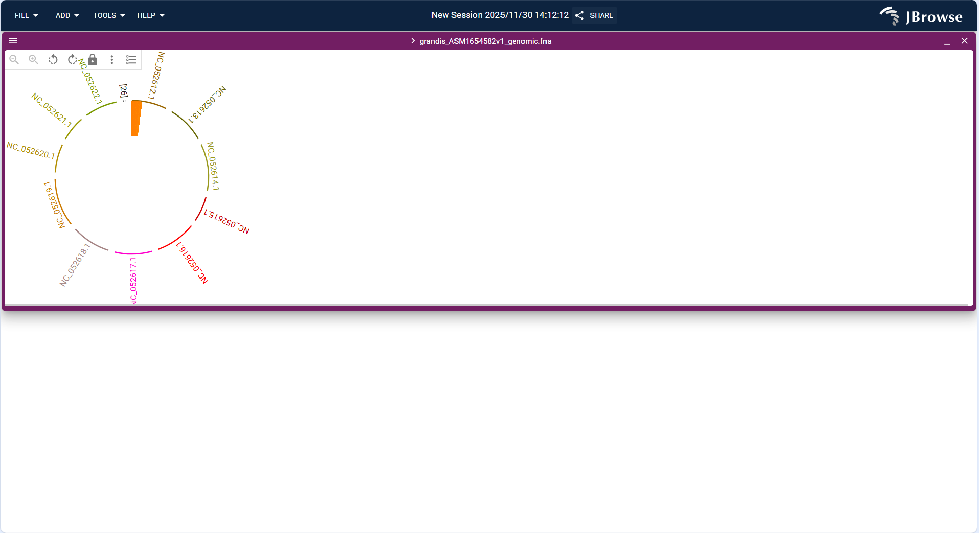 Screenshot of Circular View with overlaid Reference sequence, Feature, and GC Content tracks
