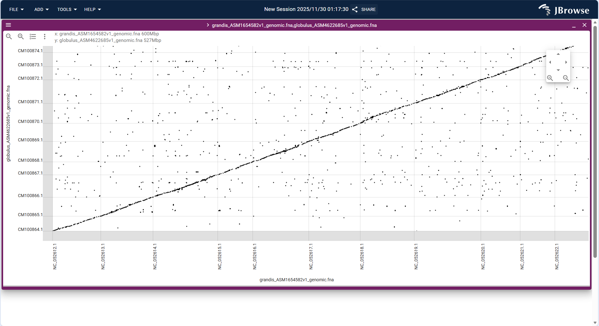Screenshot of Dotplot View showing SyntenyTrack between Eucalyptus and Myrtus communis