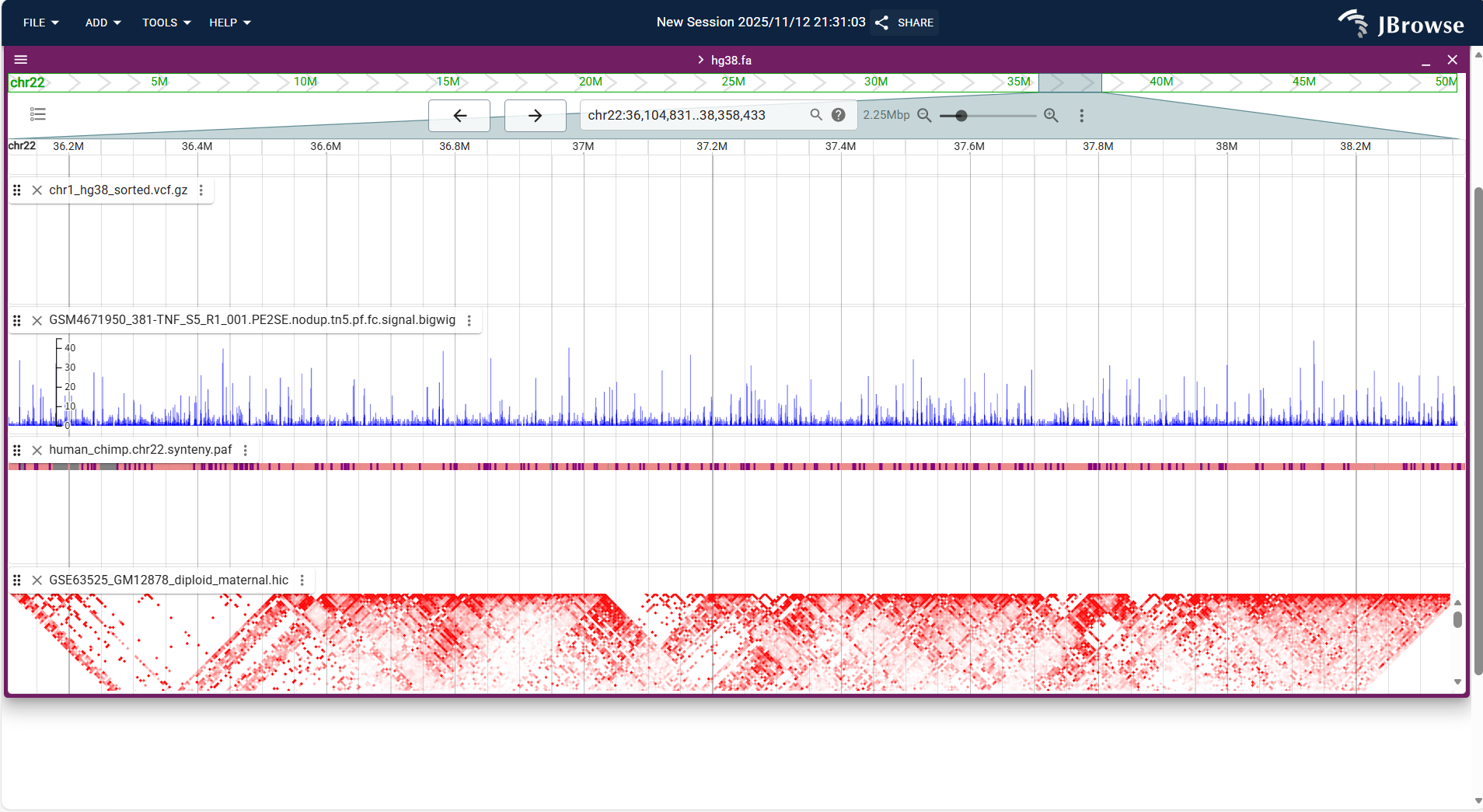 Screenshot of igv linear result1