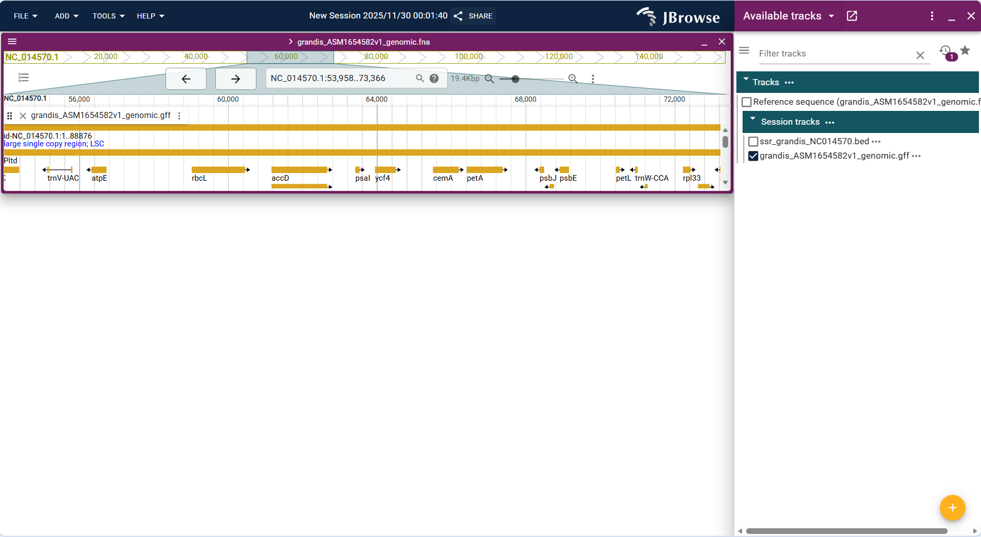 Screenshot of igv linear result1