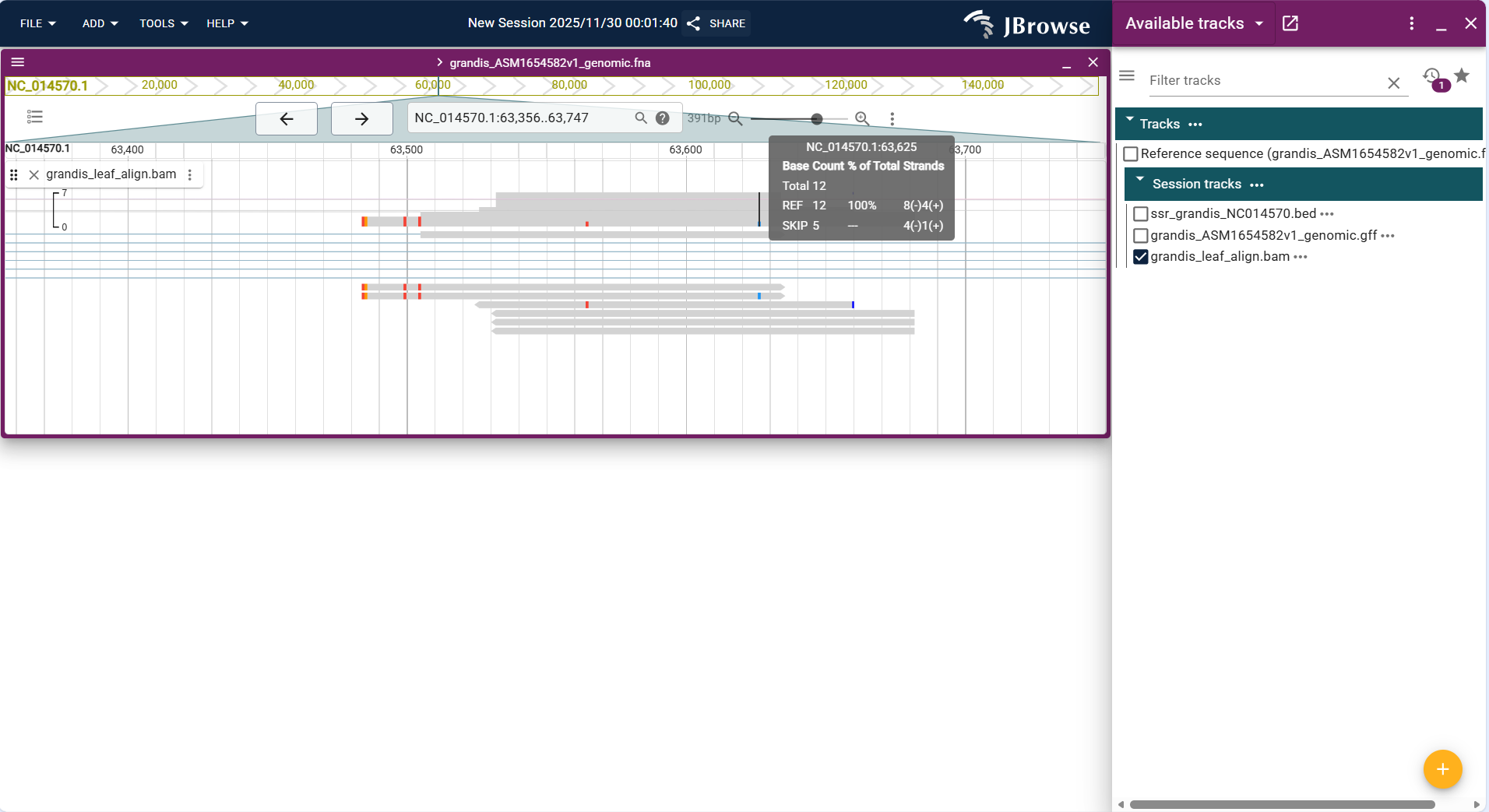 Screenshot of igv linear result1