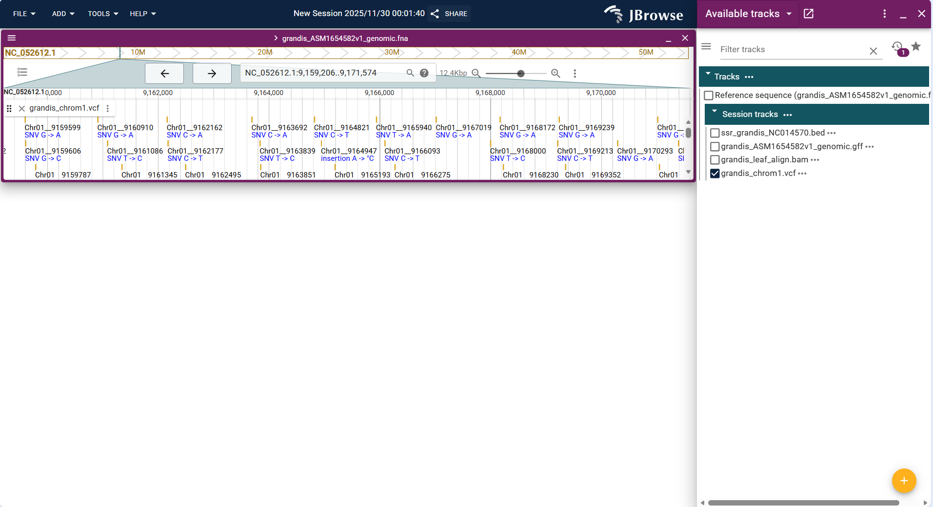 Screenshot of igv linear result1