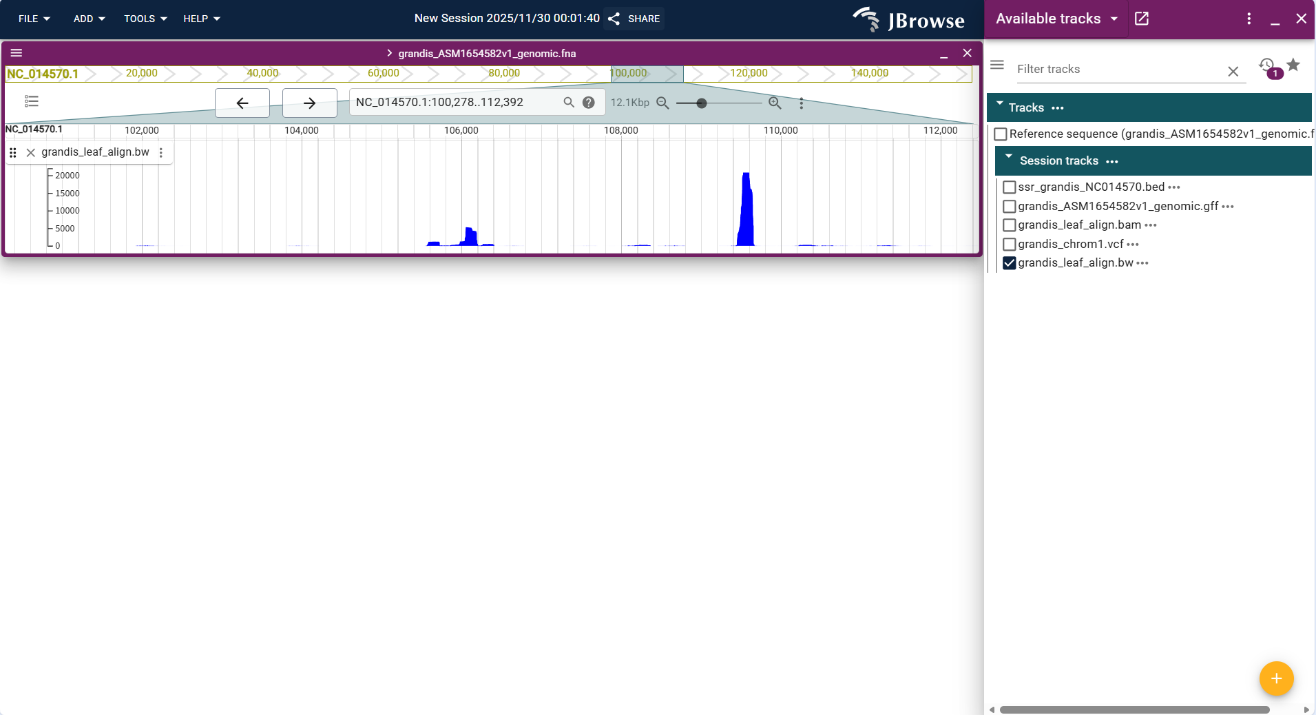 Screenshot of igv linear result1