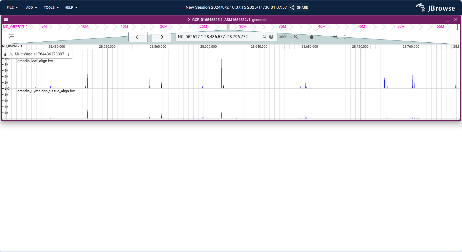 Screenshot of igv linear result1