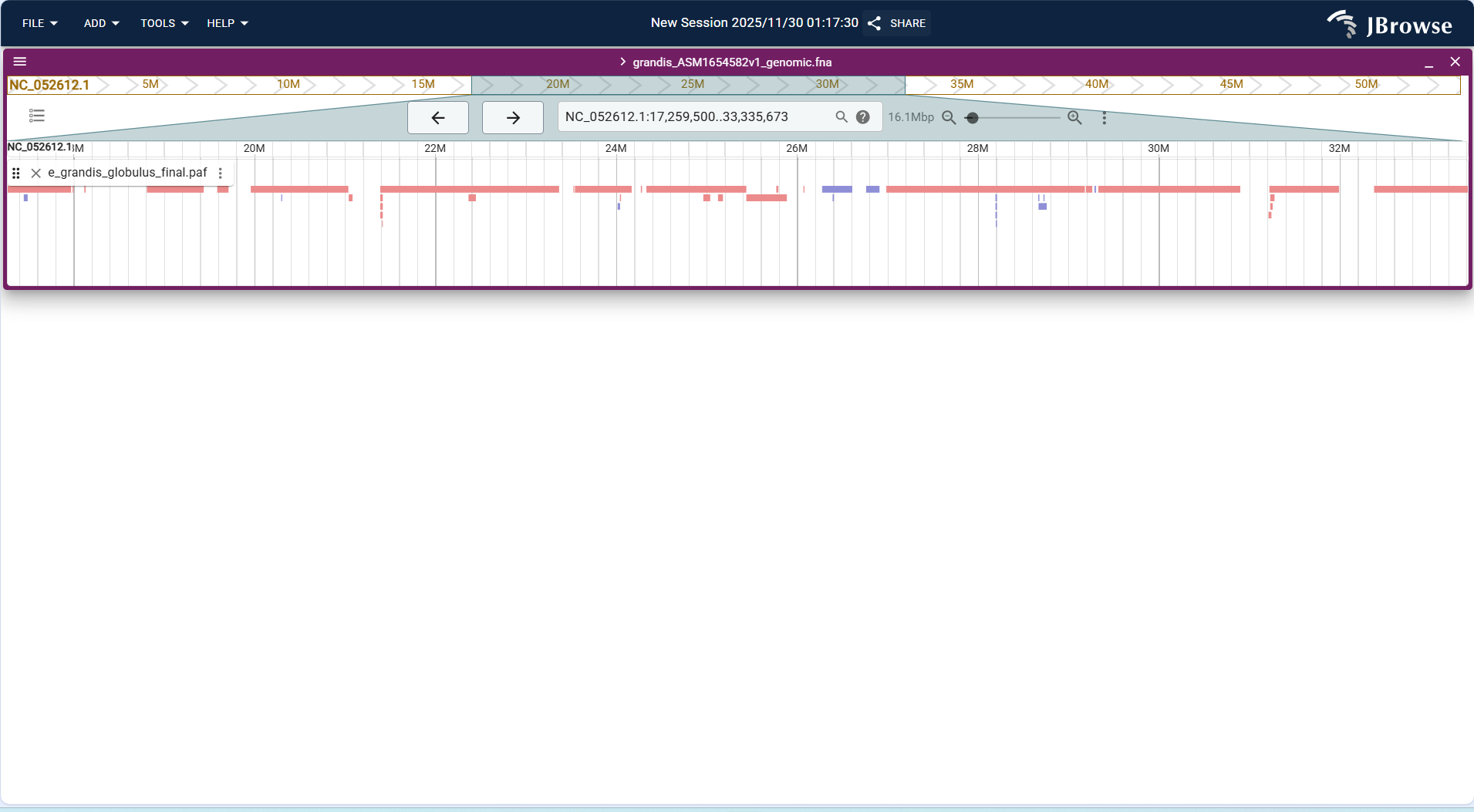 Screenshot of igv linear result1