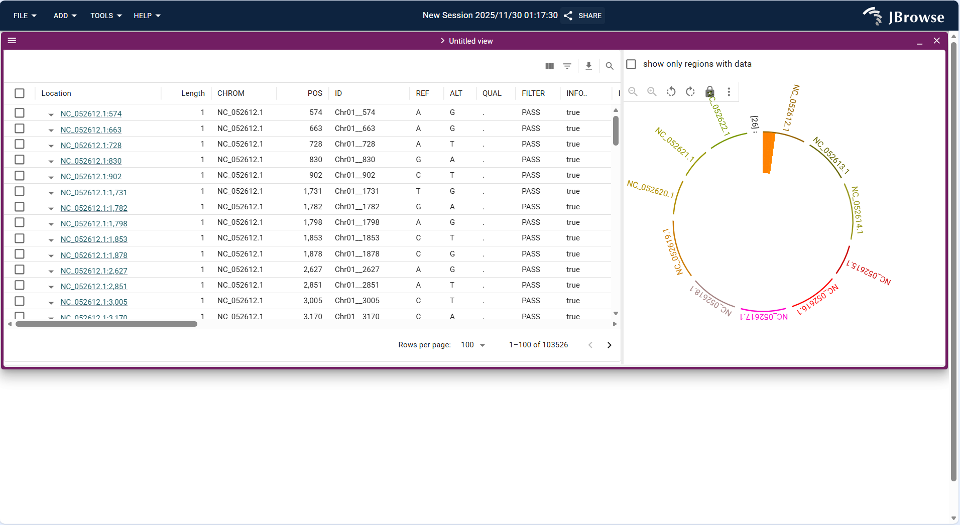 Screenshot of SV Inspector displaying structural variation breakpoint details