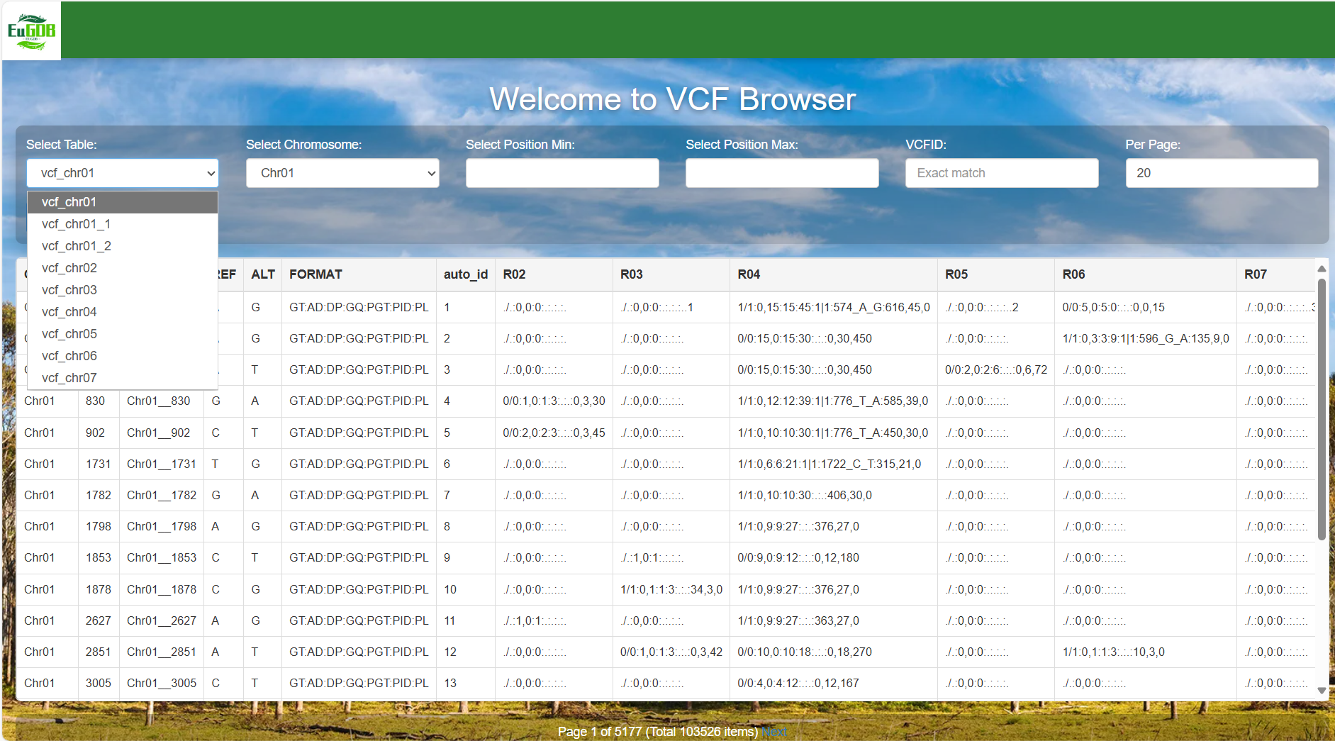 A screenshot of the one type of selection for VCF Browser.