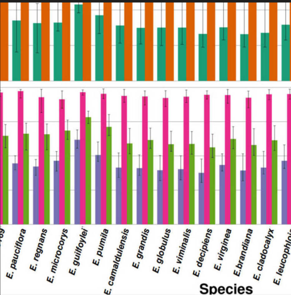 Eucalyptus Genome Evolution