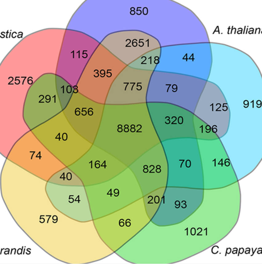 Comparative genomics
